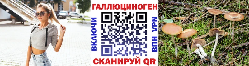 Псилоцибиновые грибы MAGIC MUSHROOMS  Купить где  Кемерово 